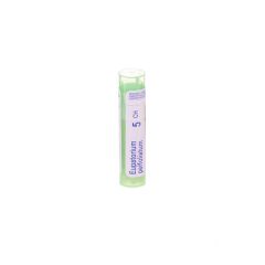 EUPATORIUM PERFOLIATUM 5CH GR 4G BOIRON