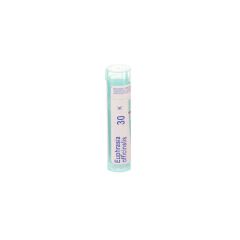 EUPHRASIA OFFICINALIS 30K GR 4G BOIRON