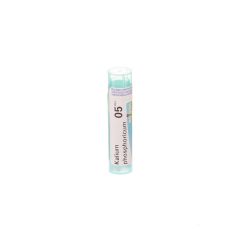 KALIUM PHOSPHORICUM 5CH GR 4G BOIRON