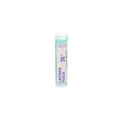 LACHESIS MUTUS 30K GR 4G BOIRON
