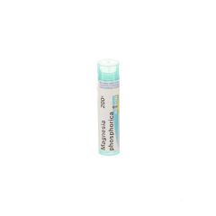 MAGNESIA PHOSPHORICA 200K GR 4G BOIRON