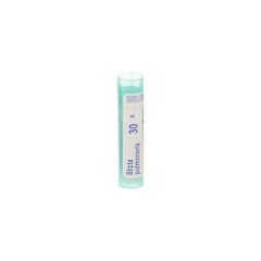 STICTA PULMONARIA 30K GR 4G BOIRON
