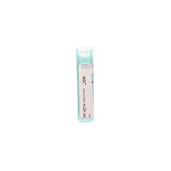 STREPTOCOCCINUM 200K GR 4G BOIRON