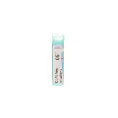 DOLICHOS PRURIENS 05CH GR 4G BOIRON