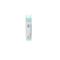 ASA FOETIDA 30K GR 4G BOIRON