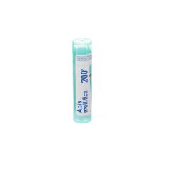 APIS MELLIFICA 200K GR 4G BOIRON