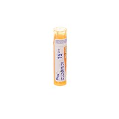 RHUS TOXICODENDRON 15CH GR 4G BOIRON