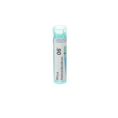 RHUS TOXICODENDRON 6K GR 4G BOIRON