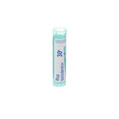 RHUS TOXICODENDRON 30K GR 4G BOIRON