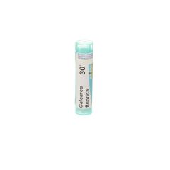CALCAREA FLUORICA 30K GR 4G BOIRON