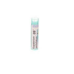 EUPATORIUM PERFOLIATUM 9CH GR 4G BOIRON