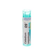 CALADIUM SEGUINUM 9CH GR 4G BOIRON