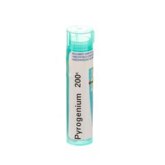 PYROGENIUM 200K GR 4G BOIRON