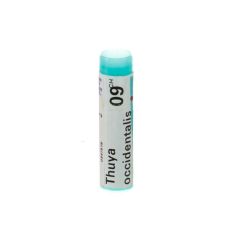 THUYA OCCIDENTALIS 9CH GL BOIRON