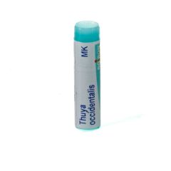 THUYA OCCIDENTALIS MK GL BOIRON