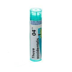 THUYA OCCIDENTALIS 4CH GR 4G BOIRON