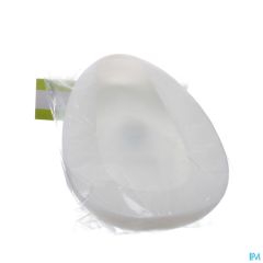 BEDPAN ECONOMY ADVYS